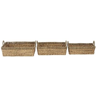 PREMIER Housewares, Set di 3 cestini, Doppio Bordo, Ferro, Seagrass, giacinto d' Acqua, Naturale PREMIER Housewares, Set di 3 cestini, Doppio Bordo, Ferro, Seagrass, giacinto d' Acqua, Naturale