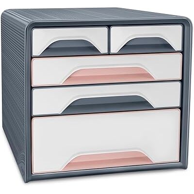 cep Blocco di archiviazione modulo, organizzatore, 5 cassetti variegati, organizer per documenti, scrivania, Smoove Mineral, grigio tempesta/rosa cipria cep Blocco di archiviazione modulo, organizzatore, 5 cassetti variegati, organizer per documenti, scrivania, Smoove Mineral, grigio tempesta/rosa cipria