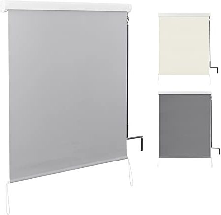 WOLTU Tenda da Sole Verticale Tenda a Rullo per Esterno Tenda da Sole a Caduta con Manovella Tenda per Balcone Avvolgibile Oscurante Protezione Sole Vento per Gazebo Giardino, Grigio 140x140 cm