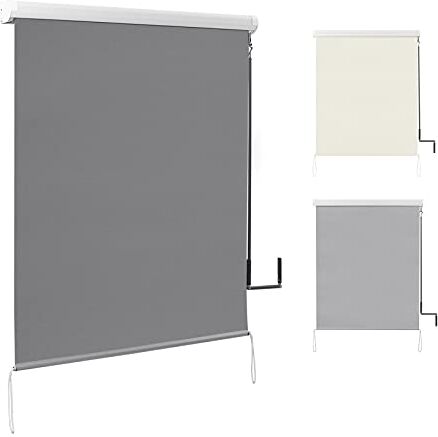 WOLTU Tenda da Sole a Rullo per Esterno con Manovella per Balcone Avvolgibile Oscurante Grigio scuro 100x140 cm