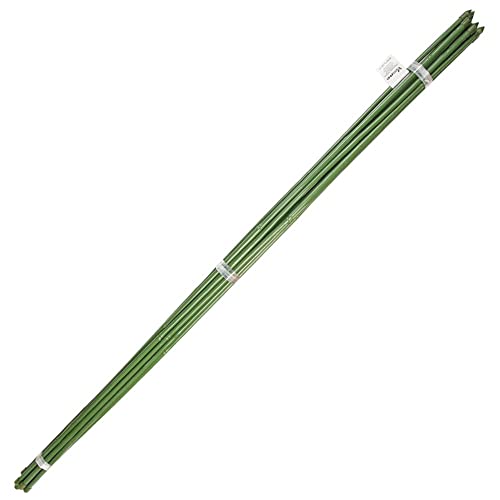Saturnia Asta di bambù in plastica tutor (confezione da 10), 8-10 mm x 90 cm, verde, 1