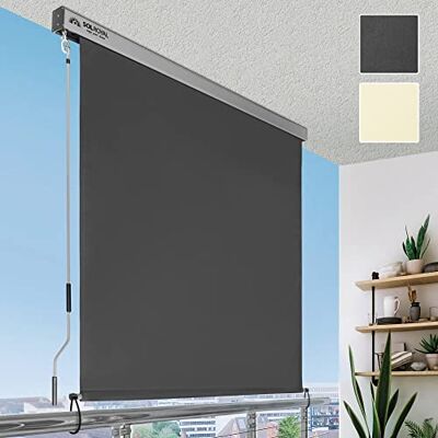 Sol Royal tenda da sole verticale per privacy con manovella rimovibile Sol Royal tenda da sole verticale per privacy con manovella rimovibile