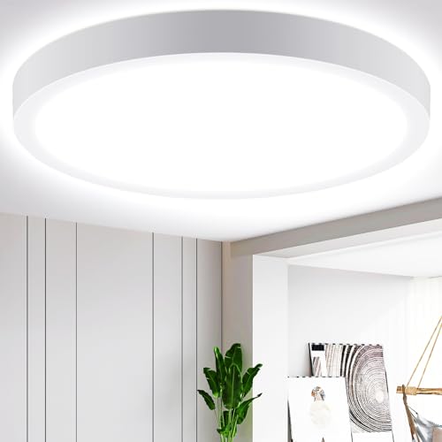 Aigostar Plafoniera LED Soffitto Moderna ， 24W Equivalente a 162W， Ø28.9cm，2700LM alta luminosità， Lampada da Soffitto LED 6500K Luce bianca fredda，per Soggiorno， Camera da Letto， Cucina ， Balcone