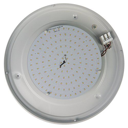 Niermann Standby a + +, lampada da soffitto – parete anello in nichel opaco, HF Sensor, LED, satiniert mit klarrand, 35 x 35 x 12 cm