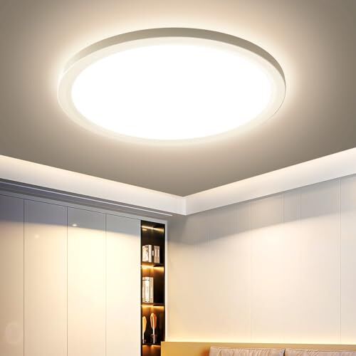 Eagle Plafoniera LED Soffitto: 3000K Lampadario LED Moderna Lampada Soffitto Luce per Camera da Letto Bagno Cucina Soggiorno 18W 22CM