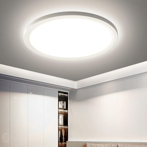 Eagle Plafoniera LED Soffitto: 4000K Lampadario LED Moderna Lampada Soffitto Luce per Camera da Letto Bagno Cucina Soggiorno 18W 22CM