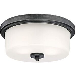 Westinghouse 63251 Apparecchiatura da soffitto per montaggio rasente da interno, 33 cm, finitura di alluminio anticato con vetro smerigliato Westinghouse 63251 Apparecchiatura da soffitto per montaggio rasente da interno, 33 cm, finitura di alluminio anticato con vetro smerigliato