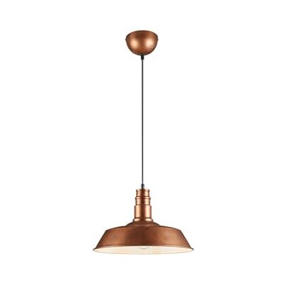 RL LIVE YOUR LIGHT Reality Leuchten r30421078 Will, lampada a sospensione, metallo, E27, Grigio, 36 x 36 x 150 cm, Metallo, kupfer antik, 36 x 36 x 150 cm, E27 RL LIVE YOUR LIGHT Reality Leuchten r30421078 Will, lampada a sospensione, metallo, E27, Grigio, 36 x 36 x 150 cm, Metallo, kupfer antik, 36 x 36 x 150 cm, E27