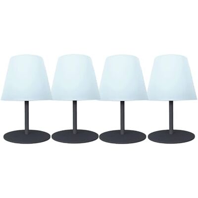 Lumisky Set di 4 mini lampade da tavolo LED grigio senza fili bianco dimmerabili 2 x TWINS ROCK H16 cm Lumisky Set di 4 mini lampade da tavolo LED grigio senza fili bianco dimmerabili 2 x TWINS ROCK H16 cm