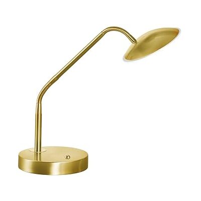 Fischer & Honsel Lampada da tavolo Tallri, in ottone opaco, altezza: 60 cm, diametro: 16 cm, A: 40 cm, con pulsante dimmerabile, temperatura colore regolabile in 3 livelli, 1 LED da 7,5 W, 2700/3350 Fischer & Honsel Lampada da tavolo Tallri, in ottone opaco, altezza: 60 cm, diametro: 16 cm, A: 40 cm, con pulsante dimmerabile, temperatura colore regolabile in 3 livelli, 1 LED da 7,5 W, 2700/3350