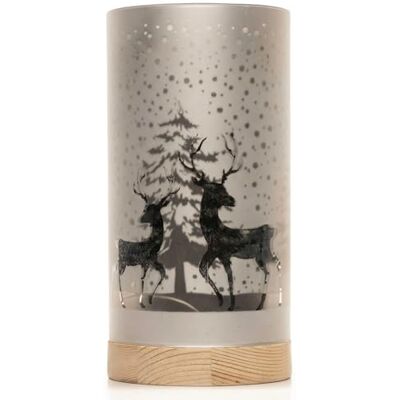 SHATCHI 20 centimetri Natale Decorato Vaso Lampada Da Tavolo Tubo di Vetro Inciso Foresta Nevicata Scena Cilindro Argento LED Fairy Lights Funzionamento A Batteria SHATCHI 20 centimetri Natale Decorato Vaso Lampada Da Tavolo Tubo di Vetro Inciso Foresta Nevicata Scena Cilindro Argento LED Fairy Lights Funzionamento A Batteria