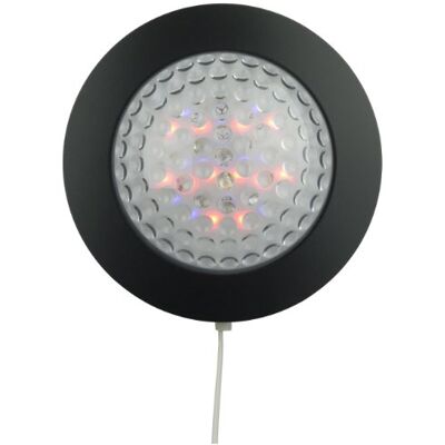 Niermann Standby Lampada da Parete e da Tavolo con cambiacolori LED, Nero Niermann Standby Lampada da Parete e da Tavolo con cambiacolori LED, Nero