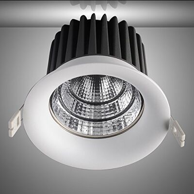 Italux DOWNLIGHT FERGUSON 24W PR Italux DOWNLIGHT FERGUSON 24W PR