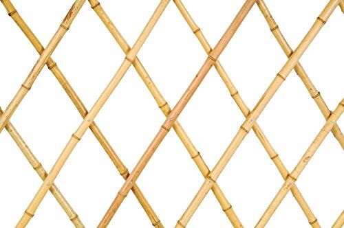 VERDEMAX 1.8 x 1.8 m traliccio estensibile in bambù con canne di grandi dimensioni – naturale