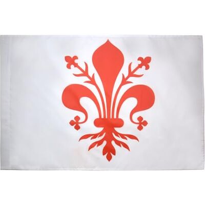 AZ FLAG - Firenze - 90x60cm - Polyester 100D - Flag AZ FLAG - Firenze - 90x60cm - Polyester 100D - Flag