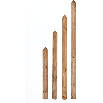 Gartenwelt Riegelsberger , asse per recinzione, tipo C, in legno di pino impregnato, 27 x 60 mm, altezza 120 cm, con punta conica Gartenwelt Riegelsberger , asse per recinzione, tipo C, in legno di pino impregnato, 27 x 60 mm, altezza 120 cm, con punta conica