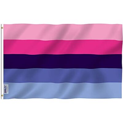 Anley Fly Breeze Bandiera dell'orgoglio omnisessuale 3x5 piedi Colori vivaci e a prova di sbiadimento Testata in tela e doppia cucitura Bandiere LGBT omnisessuali in poliestere Anley Fly Breeze Bandiera dell'orgoglio omnisessuale 3x5 piedi Colori vivaci e a prova di sbiadimento Testata in tela e doppia cucitura Bandiere LGBT omnisessuali in poliestere