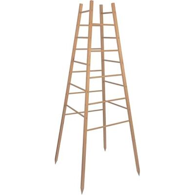 Windhager Piramide in legno di pino, 50 x 50 x 145 cm, supporto per piante rampicanti, supporto per piante rampicanti, tralicci, torre di sostegno per piante certificato FSC Windhager Piramide in legno di pino, 50 x 50 x 145 cm, supporto per piante rampicanti, supporto per piante rampicanti, tralicci, torre di sostegno per piante certificato FSC