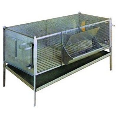 Vigor -Blinky Conigliere Zincate Vigor -Blinky Conigliere Zincate