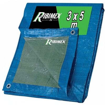Ribimex Telo di Protezione Leggero Impermeabile 3x5 m in Polietilene Occhielli in Alluminio, Resistente agli Agenti Atmosferici, Ideale per Uso Domestico e Campeggio, PRB06503X05 Ribimex Telo di Protezione Leggero Impermeabile 3x5 m in Polietilene Occhielli in Alluminio, Resistente agli Agenti Atmosferici, Ideale per Uso Domestico e Campeggio, PRB06503X05