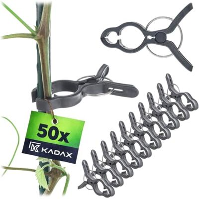 KADAX Clip per piante, 7,5 x 5,5 cm, set da 50 pezzi, clip per piante rampicanti, pomodori, grucce per piante, staffe per giardino e serra KADAX Clip per piante, 7,5 x 5,5 cm, set da 50 pezzi, clip per piante rampicanti, pomodori, grucce per piante, staffe per giardino e serra