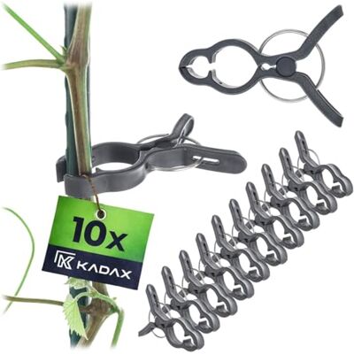 KADAX Clip per piante, 7,5 x 5,5 cm, set da 10 pezzi, clip per piante rampicanti, pomodori, grucce per piante, staffe per giardino e serra KADAX Clip per piante, 7,5 x 5,5 cm, set da 10 pezzi, clip per piante rampicanti, pomodori, grucce per piante, staffe per giardino e serra