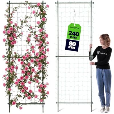 KADAX Griglia per traliccio 80 x 240 cm, griglia per rose in metallo rivestito, struttura per tralicci, traliccio per rose, clematidi e piante rampicanti, traliccio di rose, frangivista per giardino KADAX Griglia per traliccio 80 x 240 cm, griglia per rose in metallo rivestito, struttura per tralicci, traliccio per rose, clematidi e piante rampicanti, traliccio di rose, frangivista per giardino