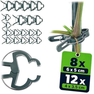 KADAX Set di 20 clip per piante (4 x 3,5 cm + 6 x 5 cm), clip per piante rampicanti, pomodori, grucce per piante, staffe per giardino e serra KADAX Set di 20 clip per piante (4 x 3,5 cm + 6 x 5 cm), clip per piante rampicanti, pomodori, grucce per piante, staffe per giardino e serra