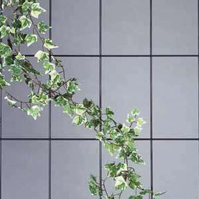 Siena Garden Spalier 4strebig 150x60cm hammerschlag m. SB-Reiter Siena Garden Spalier 4strebig 150x60cm hammerschlag m. SB-Reiter
