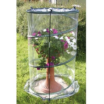 VERDEMAX Serra Pop-up Anthurium cm 70xh110 VERDEMAX Serra Pop-up Anthurium cm 70xh110