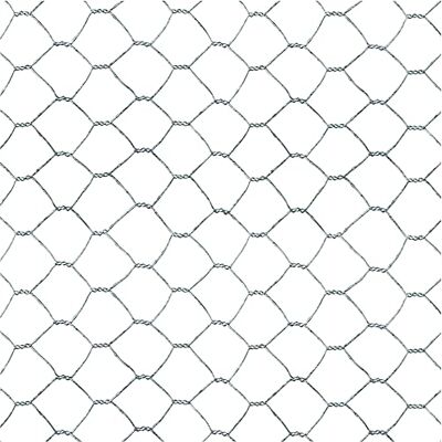TENAX EXAMET 25, Rete Metallica Zincata 1,00x10 m Argento per Gabbie e Recinti di Animali da Cortile (Polli, Conigli, Uccelli), Piccole recinzioni e Lavori Artigianali TENAX EXAMET 25, Rete Metallica Zincata 1,00x10 m Argento per Gabbie e Recinti di Animali da Cortile (Polli, Conigli, Uccelli), Piccole recinzioni e Lavori Artigianali