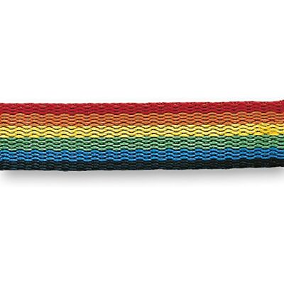 Chapuis Cinghia in polipropilene – 408 kg – Larghezza 25 mm – Bobina di 25 m – Arcobaleno 1 Arc in cielo Chapuis Cinghia in polipropilene – 408 kg – Larghezza 25 mm – Bobina di 25 m – Arcobaleno 1 Arc in cielo