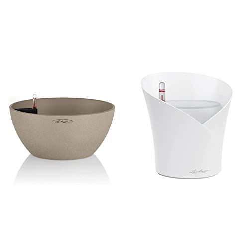 Lechuza Cubeto Colore 30 - & ORCHIDEA Vaso da fiori per interni e interni, senza foro di drenaggio, con substrato per piante, in poliresina D18 H19,5 cm, colore: Bianco opaco