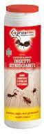 Generic Greenservice INSETTI STRISCIANTI INSETTICIDA POLVERE 500g