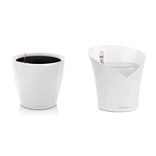 Lechuza Set Completo Vaso Classico Premium 28, Colore Bianco Lucido & ORCHIDEA Vaso da fiori per interni e interni, senza foro di drenaggio, con substrato per piante