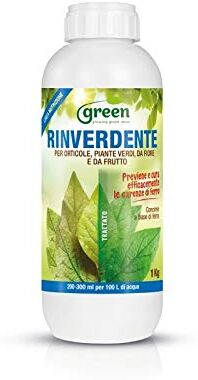 Green Ravenna Nutrimento rinverdente concime a Base di Ferro chelato DTPA previene e Cura 1 lt