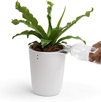 QUALY Oasis Square  Vaso da fiori rotondo con sistema di auto-irrigazione, colore: Bianco, S