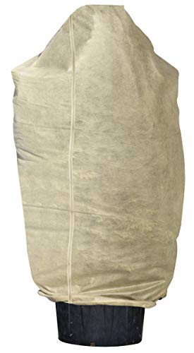 Windhager SUPERPROTECT XXL  Telo Invernale in Tessuto Non Tessuto Termico da Giardino, Protezione dal Gelo e dal Freddo per Alberi e Piante, con Cordino, 2 x 2,4 m, Colore: Beige