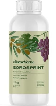 Il Paese Verde Borosprint concime liquido a base di boro kg.1. Migliora l'allegagione, favorisce la crescita dei frutti e previene la carenza di boro.