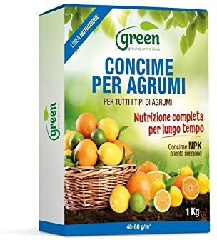 Green Ravenna Concime fertlizzante nutrimento granulare lenta cessione agrumi Limoni 1 kg NPK