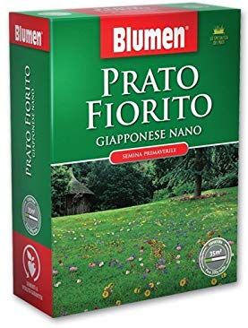 Blumen Prato Fiorito Con Margherite 500 Gr