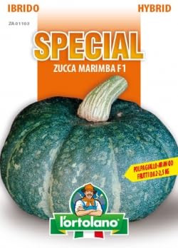 Generic Sementi ibride e selezioni speciali di alta qualità per la produzione di ortaggi nell'orto di famiglia (ZUCCA MARIMBA F.1, DUE BUSTE)