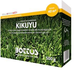 Bottos KIKUYU, Semi Pennisetum,Alta Resistenza al Caldo, Rigenerazione Rapida, Adatto a Terreni Pesanti, Ideale per Aree Costiere, Mantenimento Verde Invernale, 500gr (40mq)