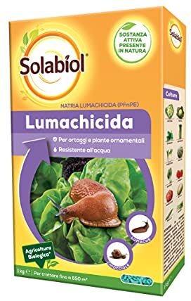 Solabiol Lumachicida PFnPE Biologico a base di Fosfato Ferrico, 1 Kg