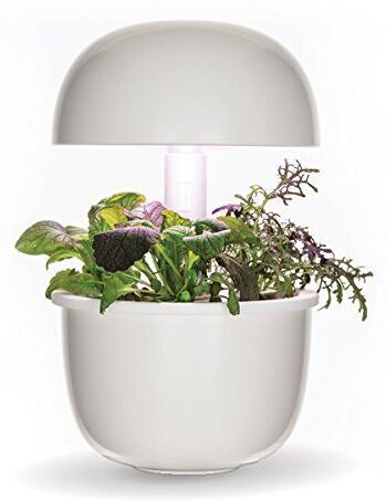 Plantui Smart Garden, Bianco, 19x19x37 cm