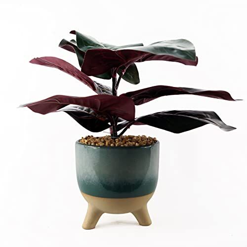 Leaf Design UK Pianta artificiale realistica con vaso, pianta di ficus, 35 cm