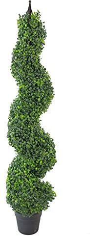 Leaf Design UK Buxus Alberi a spirale in legno di bosso