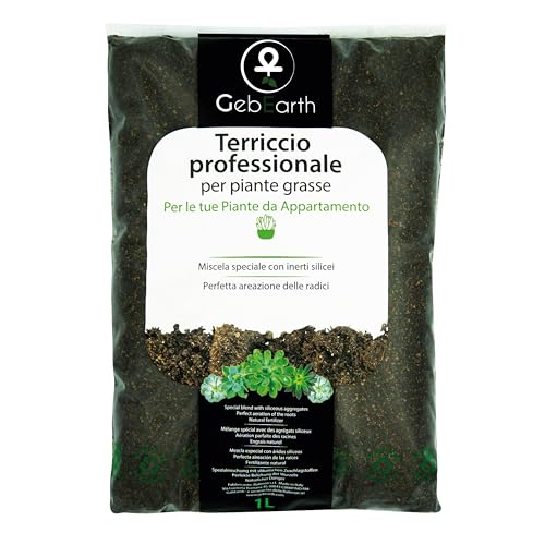 GebEarth ® Terriccio Professionale per Piante Grasse e Succulente da 1 Litro【 Substrato ideale per Cactacee e altre Piante Grasse da Appartamento 】