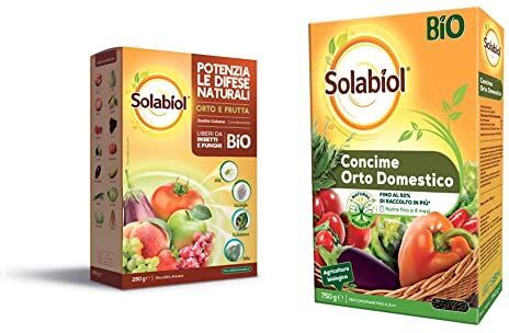 Solabiol Zeolite Polvere di Roccia, Potenziatore delle difese delle Piante, Bianco, 250 g & Concime granulare Biologico per orto Domestico, 750 gr