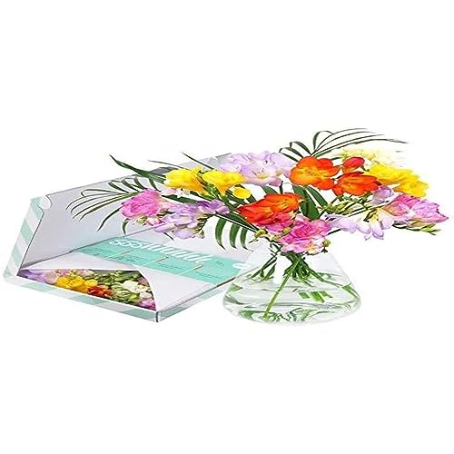 BloomPost Cassetta delle lettere Regalo floreale Fiori freschi consegnati Bouquet perfetto per San Valentino, compleanni e regali di ringraziamento Consegna gratuita Happy Breeze 32 cm